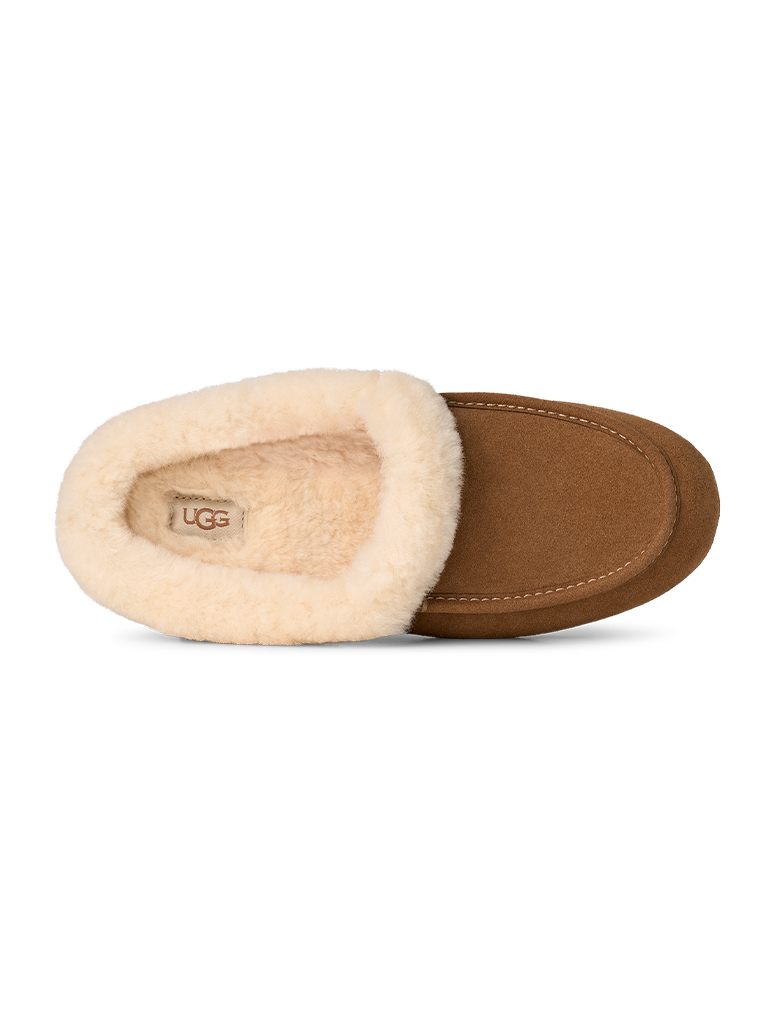 UGG Ansley Mule