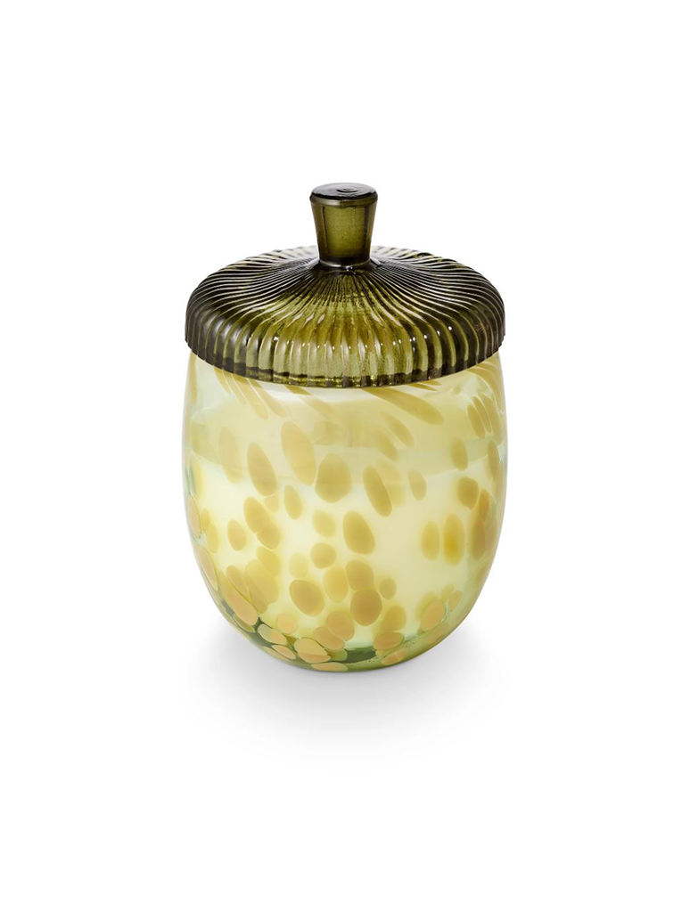 46353061000_ILLUME-1