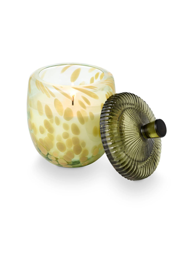 46353061000_ILLUME-2