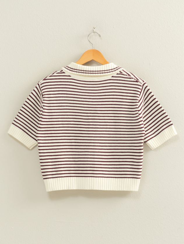 Striped Collared Short Sleeve Knit Top