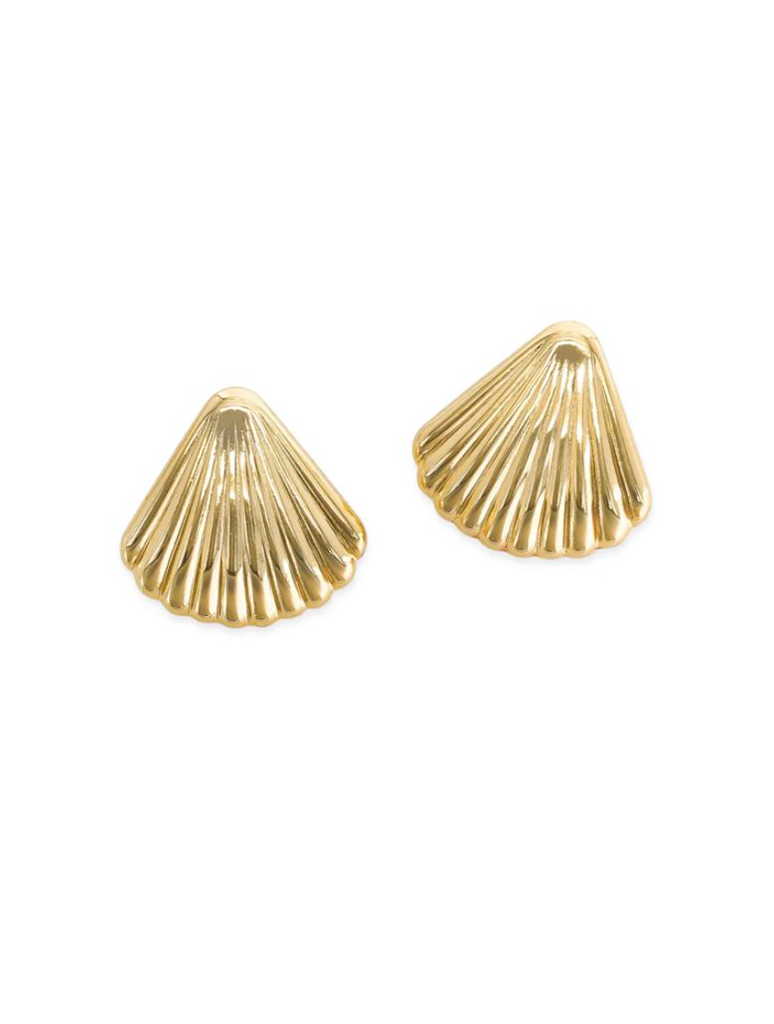 Shell Earrings