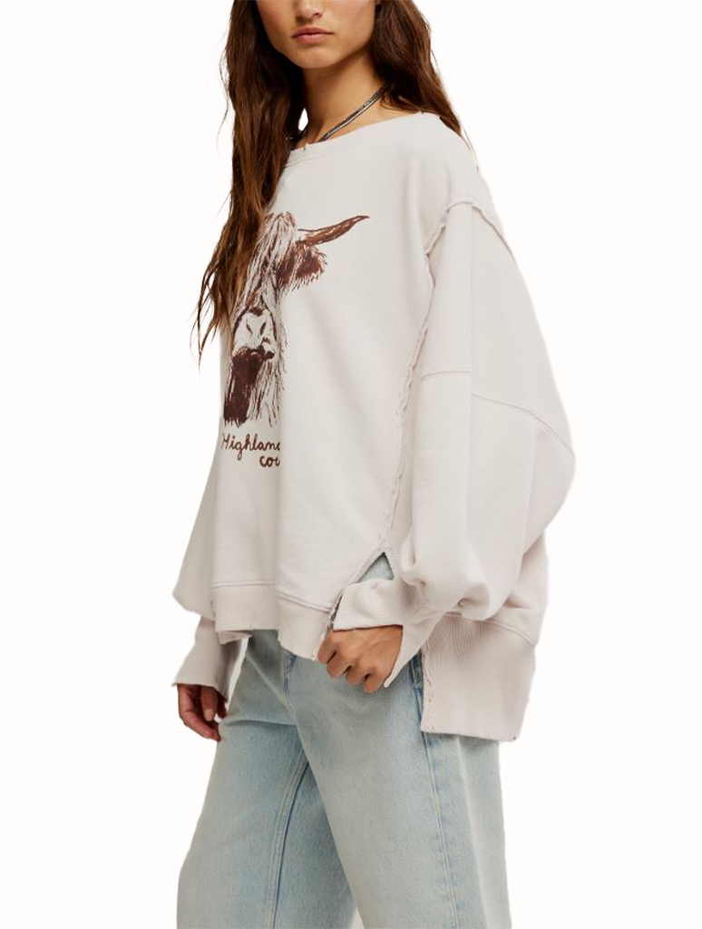 Free People Graphic Camden Sweatshirt