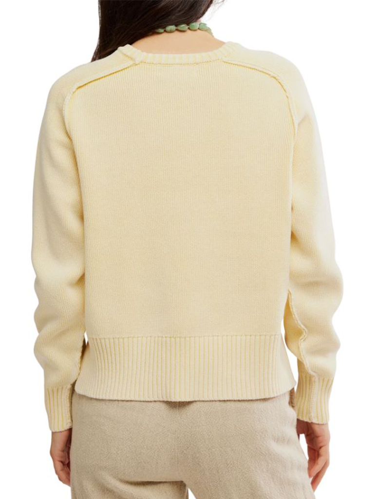 Free People Spring Street Pullover