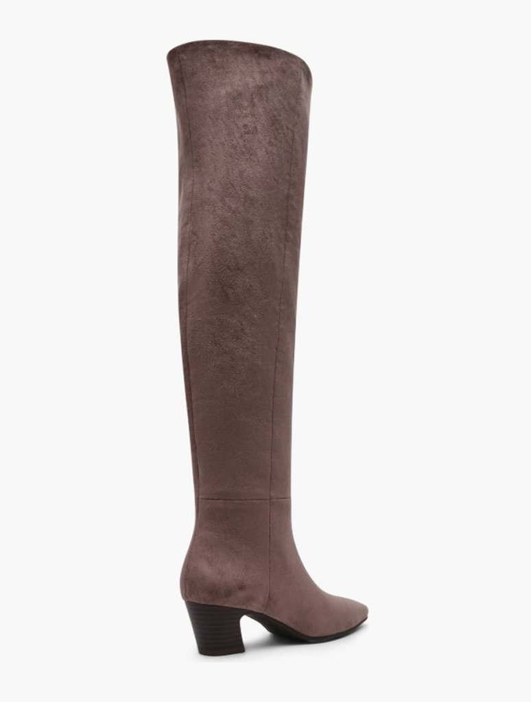 STRYKER-MUSHROOM_DV-2