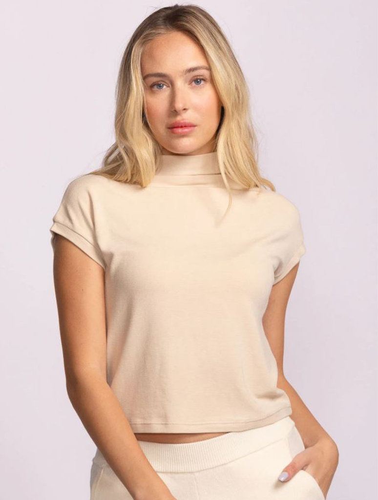 The Nicolas Top