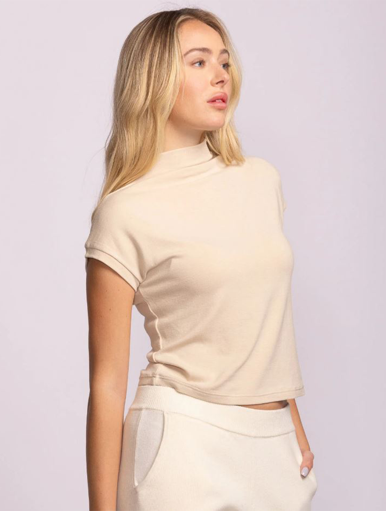 The Nicolas Top