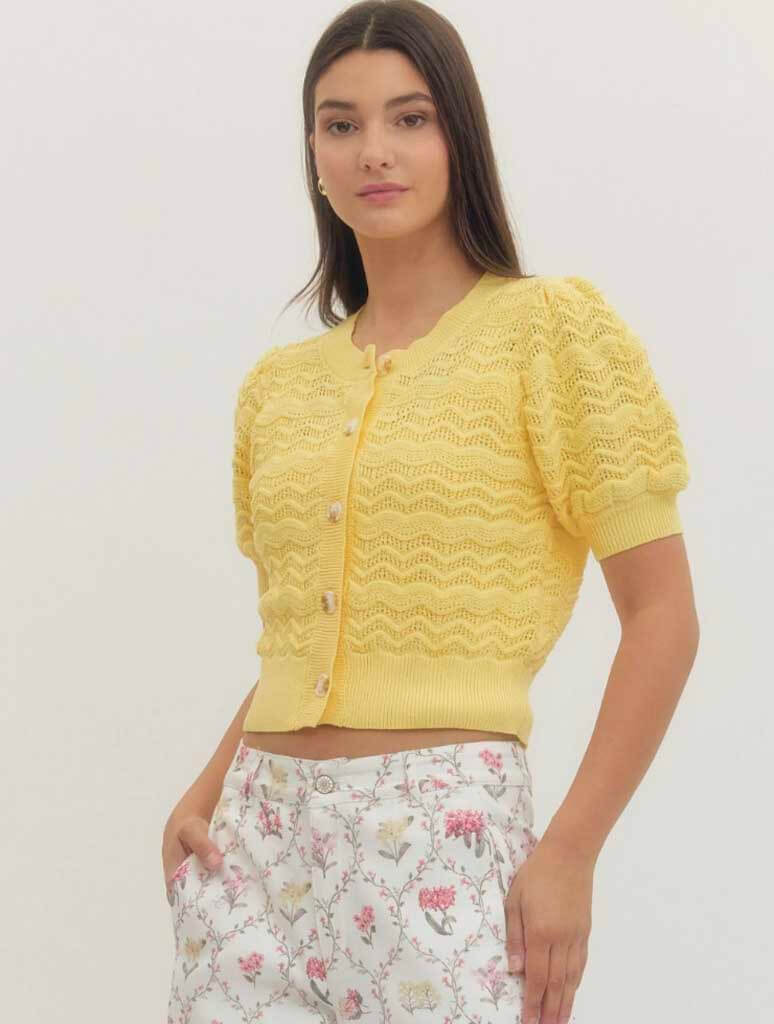 Fine Gauge Short Sleeve Sweater