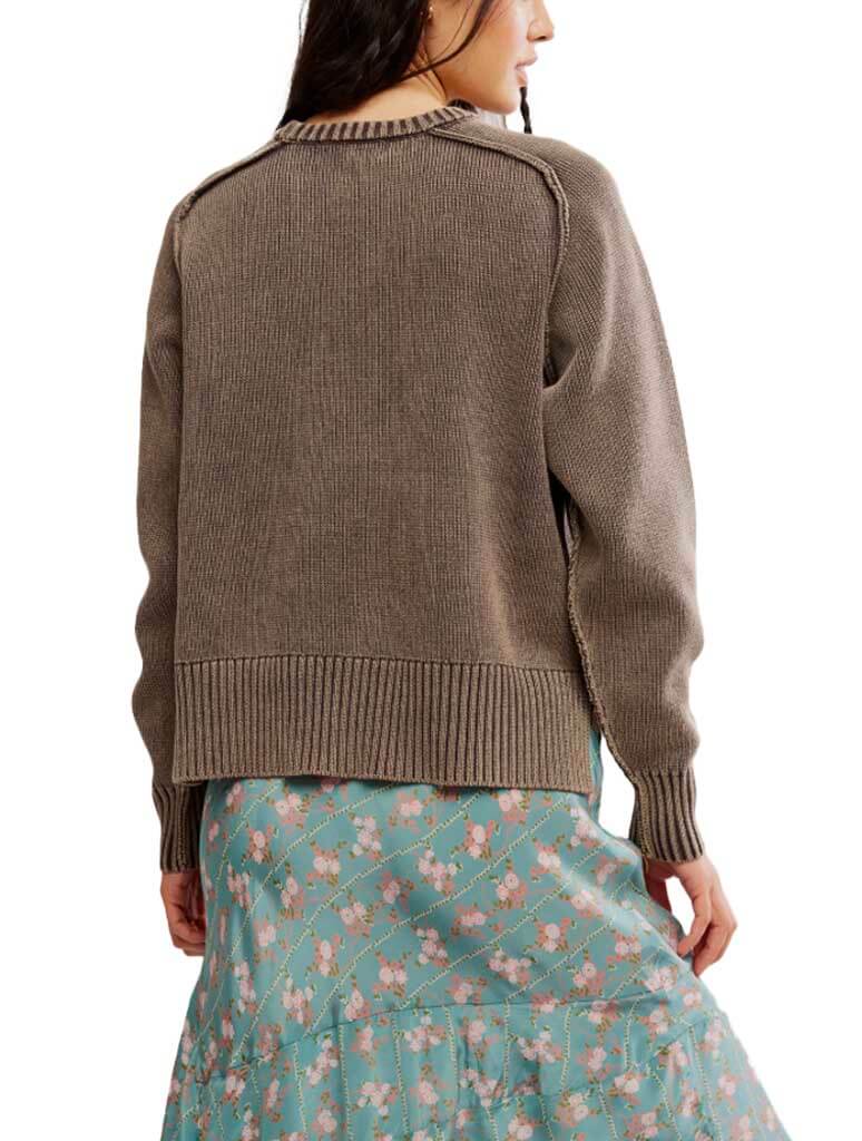 Free People Spring Street Pullover