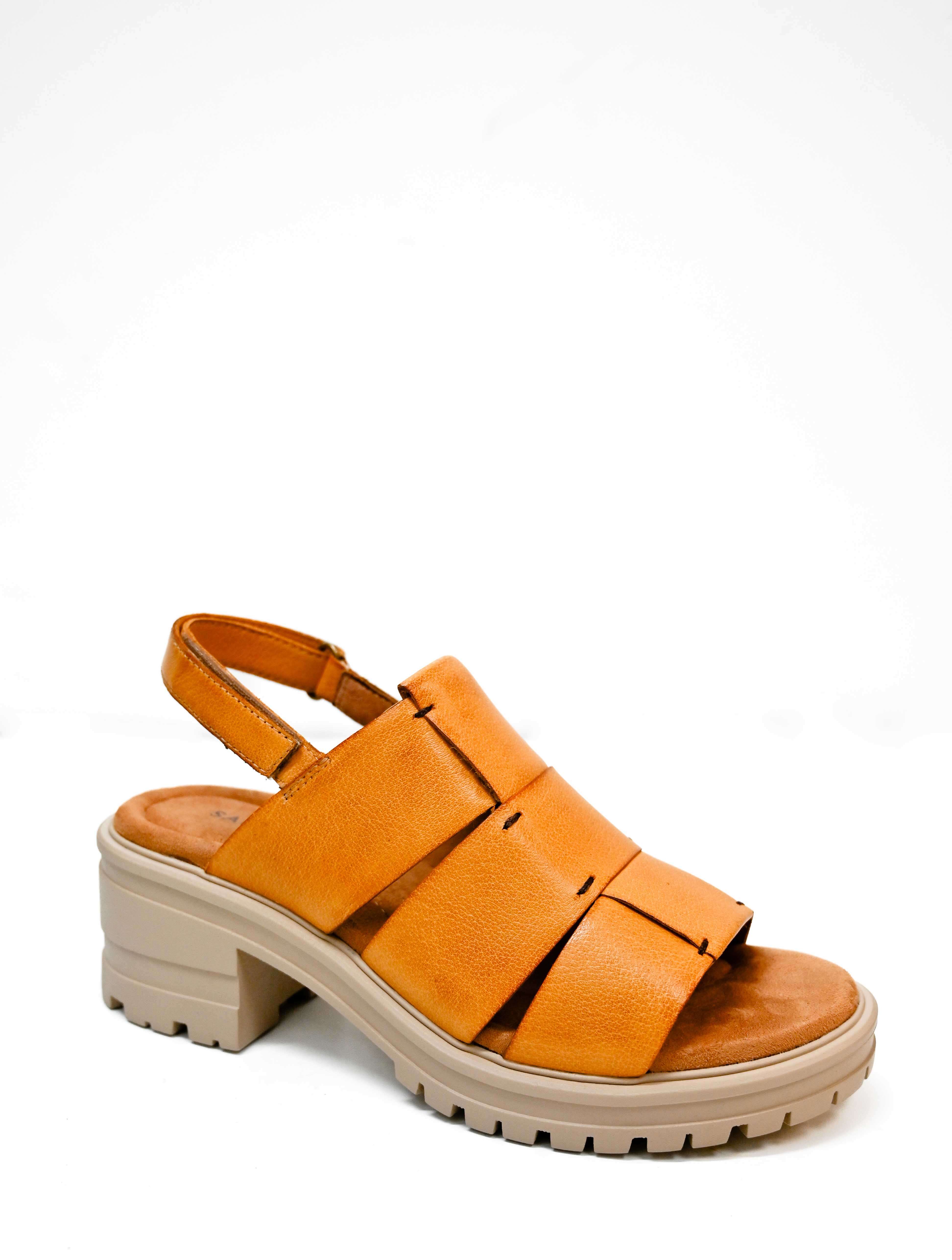 Salvia Harley Sandal